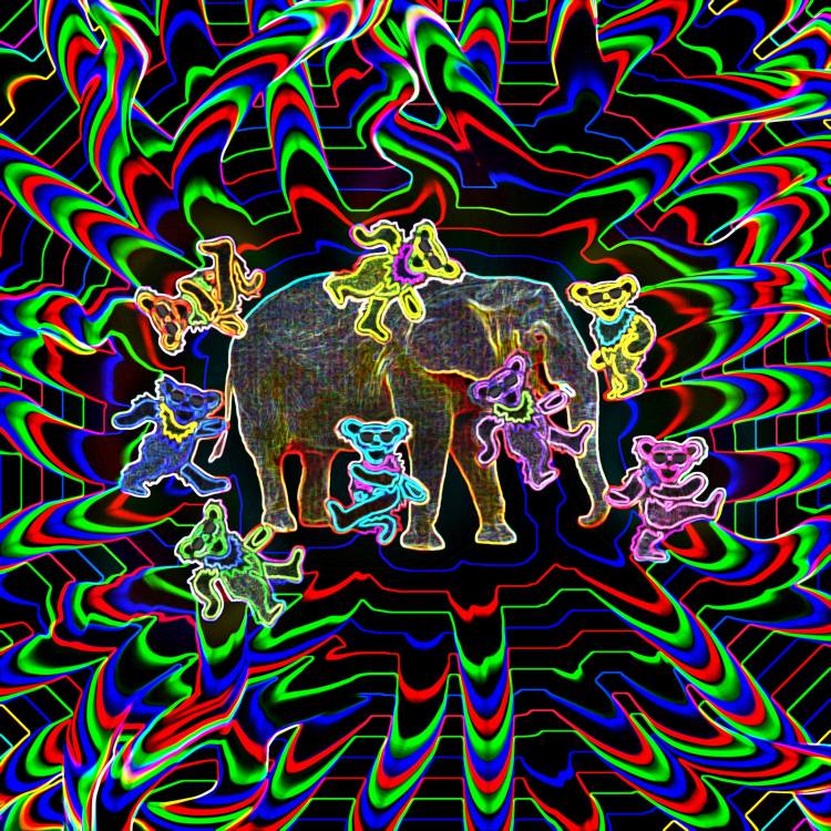 1795397_10103821001738749_391203280_o