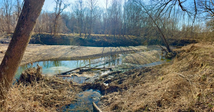 horizontal view of a river