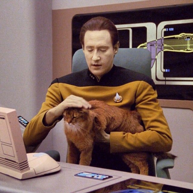 Data and his cat Spot from Star Trek: The Next Generation